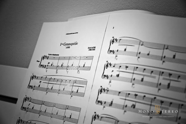 1610338859143424.jpg vitus_audio_ss103_new_mono_and_stereo_matej_isak_test_2016_new_2017 - 2 (1)-1.jpg