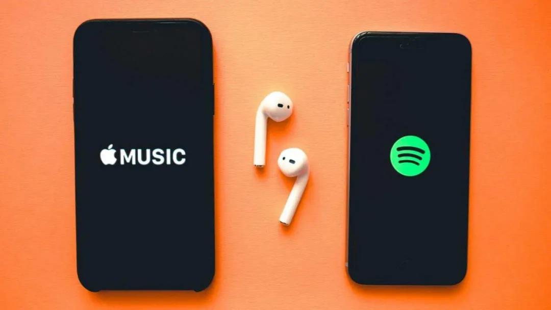 1614674602128501.jpg 1614667327603735.jpg