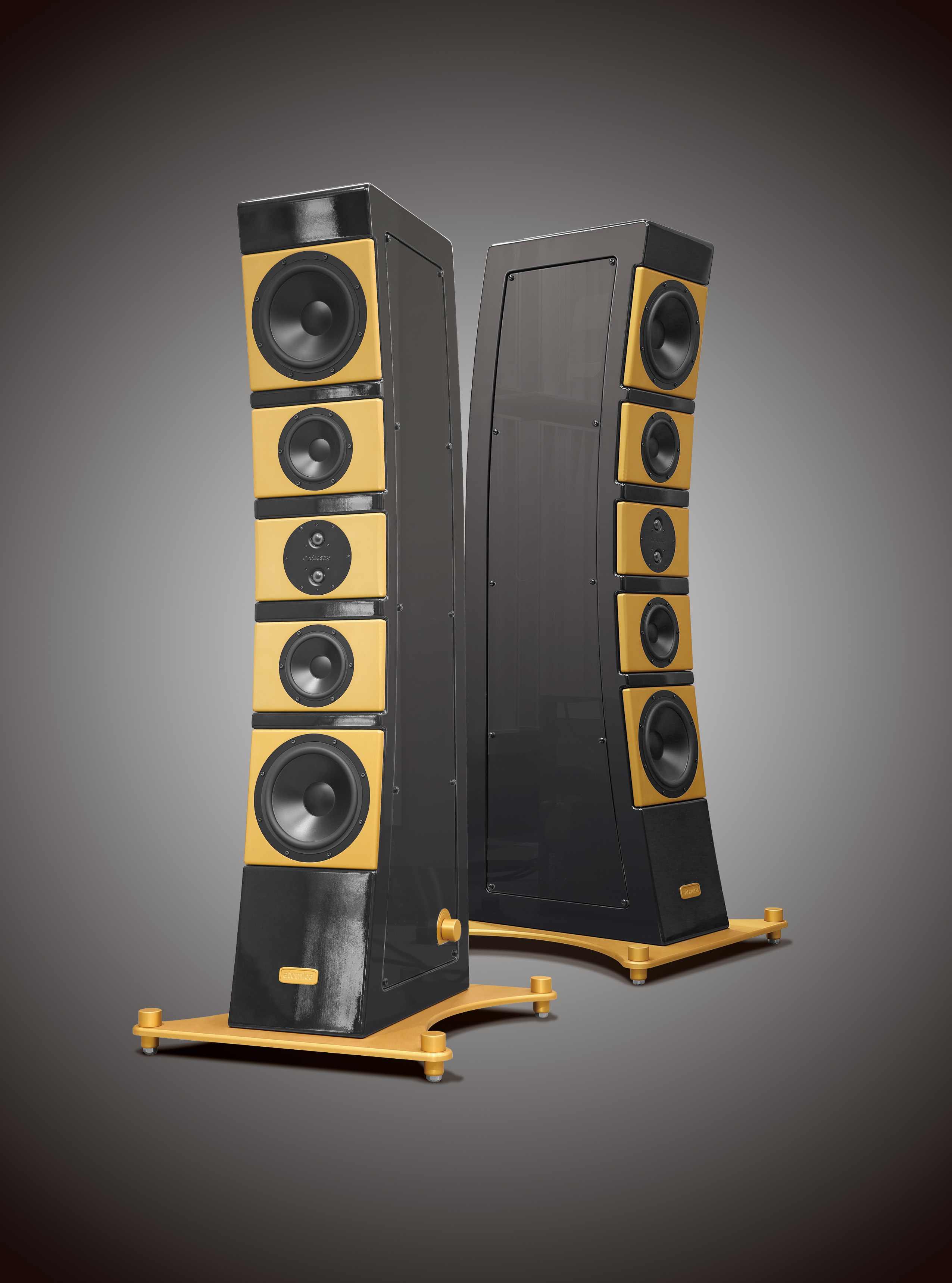 1754376335482171.jpg BG A.jpg